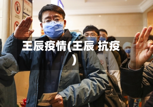 王辰疫情(王辰 抗疫)