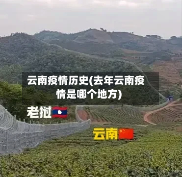 云南疫情历史(去年云南疫情是哪个地方)