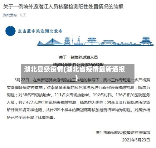 湖北县级疫情(湖北省疫情最新通报)