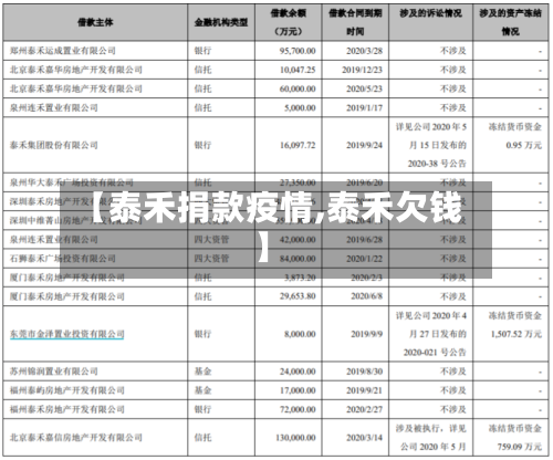 【泰禾捐款疫情,泰禾欠钱】-第3张图片