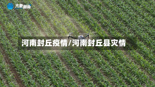 河南封丘疫情/河南封丘县灾情-第3张图片