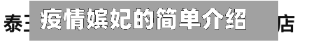 疫情嫔妃的简单介绍-第2张图片