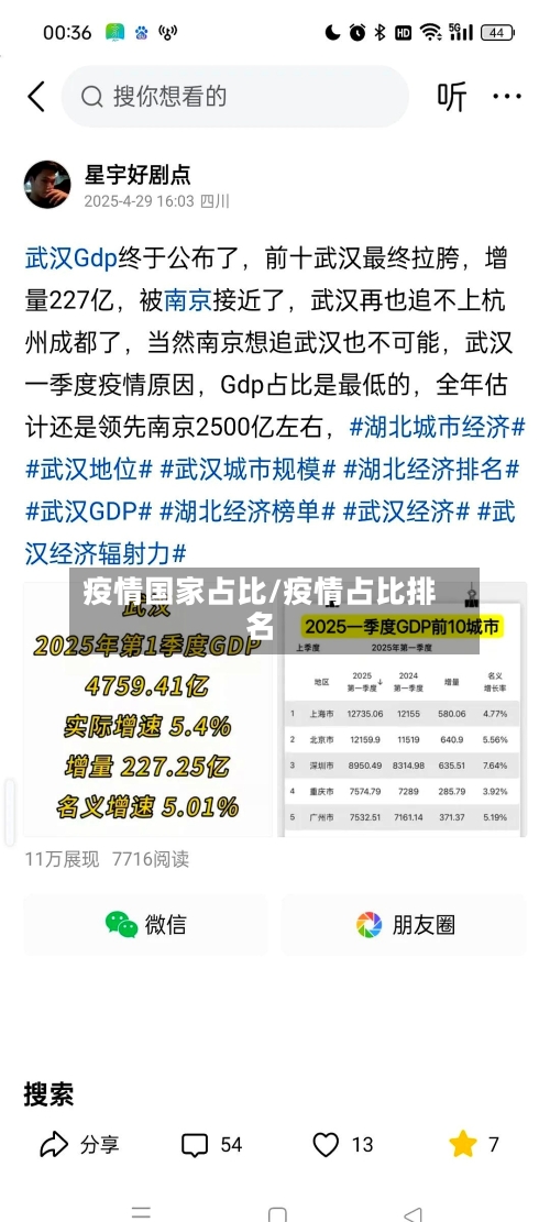 疫情国家占比/疫情占比排名