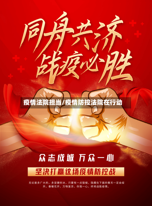 疫情法院担当/疫情防控法院在行动