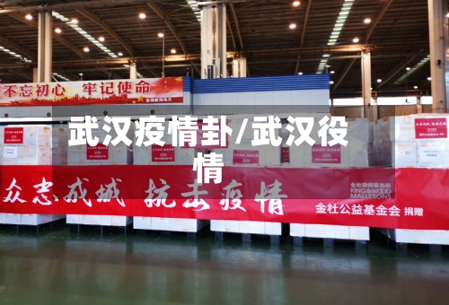 武汉疫情卦/武汉役情