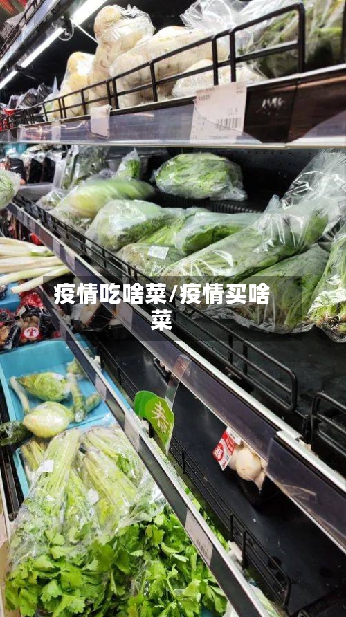 疫情吃啥菜/疫情买啥菜