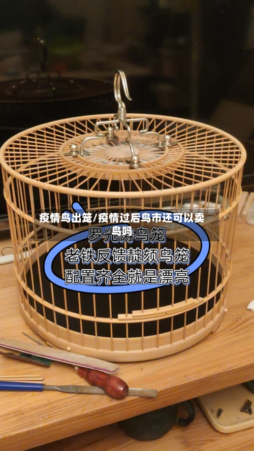 疫情鸟出笼/疫情过后鸟市还可以卖鸟吗