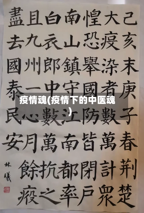 疫情魂(疫情下的中医魂)