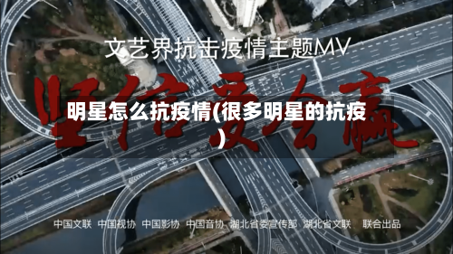 明星怎么抗疫情(很多明星的抗疫)-第2张图片